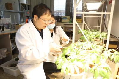 探秘昆明理工大學(xué) 走進(jìn)云南省三七資源可持續(xù)利用重點實驗室